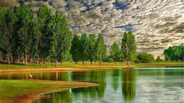 تفسير حلم الجنة في المنام