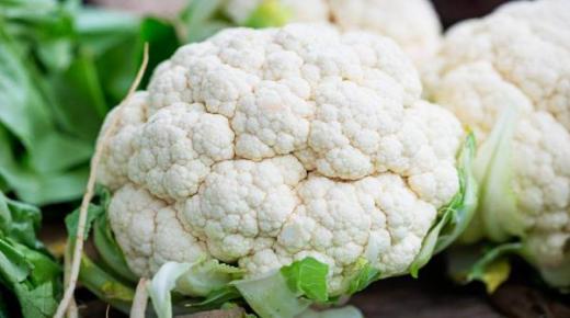 تفسير حلم القرنبيط في المنام