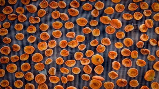 تفسير حلم المشمش في المنام