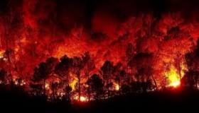 بعد حرائق سوريا.. أصالة ومحمود نصر.. سوريا يا حبيبتي لطفك يا الله