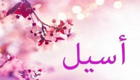 معنى اسم أسيل في القاموس العربي