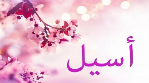 معنى اسم أسيل في القاموس العربي